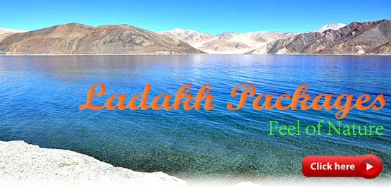 Leh Ladakh 